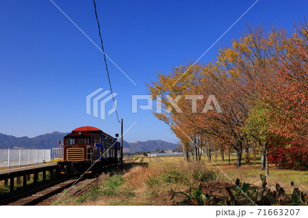 南阿蘇鉄道のトロッコ列車 71663207