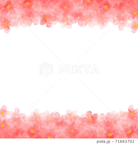 水彩画の桜イラスト　フレーム 71663702