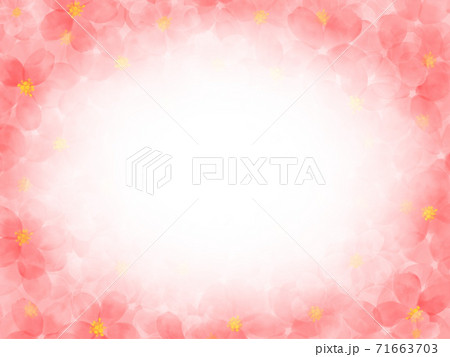 水彩画の桜イラスト　フレーム 71663703