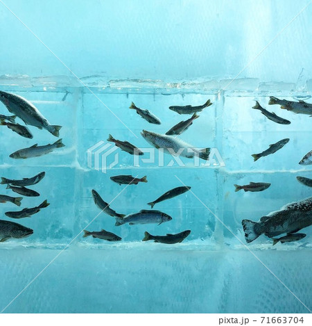 支笏湖氷濤まつり 71663704