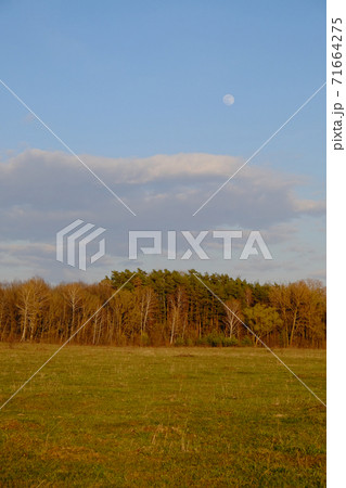 Cloudy evening sky over a beautiful autumn forest. Landscape. 71664275