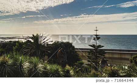 Beautifull view in Genoves park in cadiz andalusia spain Beautifull view in Genoves park in cadiz andalusia spain 71664344