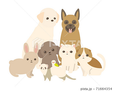 ペット 犬と猫と兎とフェレットと鳥 背景白のイラスト素材