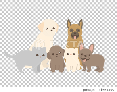ペット達 動物集合 犬と猫 のイラスト素材