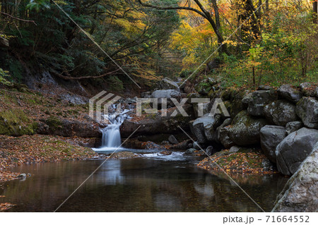 秋の上津江村の紅葉風景 71664552