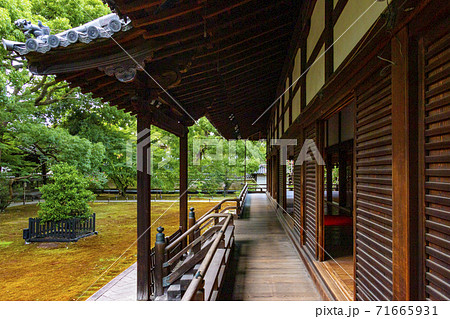 青蓮院門跡 京都府京都市東山区粟田口の写真素材