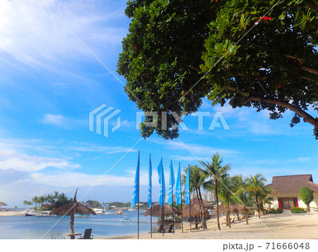 ビビットなカラーが目にまぶしいフィリピンのビーチ ビビットなカラーが目にまぶしいフィリピンのビーチ 71666048