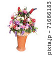 Red, pink and purple flowers in a vase on a white background 71666183