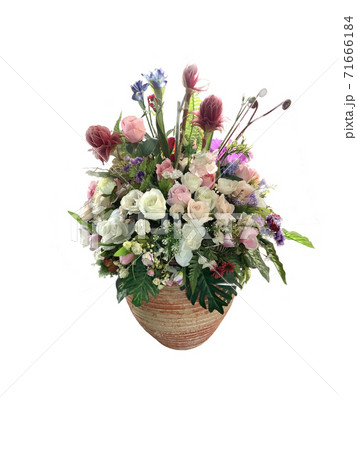 White, red and pink flowers in a Red, pink and purple flowers in a vase on a white background vase 71666184