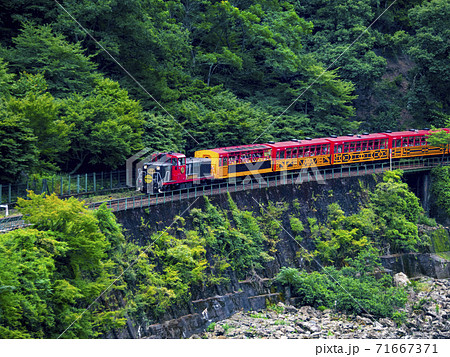 嵯峨野トロッコ列車(京都府京都市西京区) 嵯峨野トロッコ列車(京都府京都市西京区) 71667371