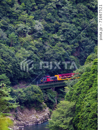 嵯峨野トロッコ列車(京都府京都市西京区) 嵯峨野トロッコ列車(京都府京都市西京区) 71667521