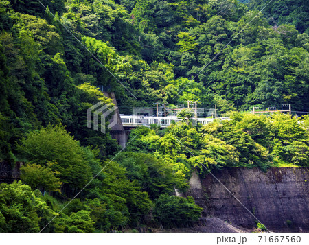 JR嵯峨野線の電車 71667560