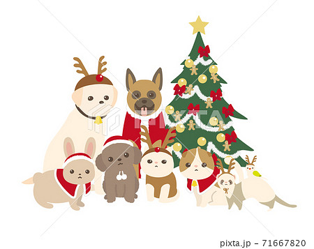 クリスマスのコスチュームを着たペット 犬と猫と小動物のイラスト素材
