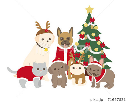 クリスマスのコスチュームを着たペット 犬と猫のイラスト素材
