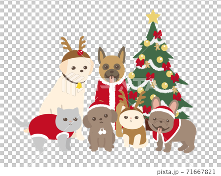 クリスマスのコスチュームを着たペット　犬と猫 71667821