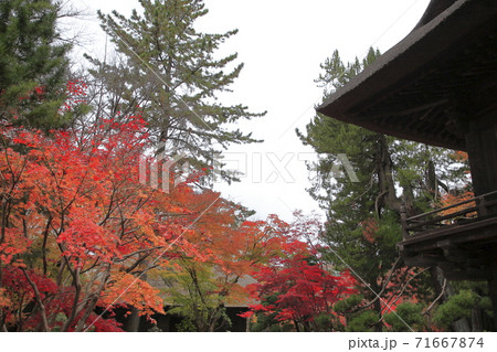 平林寺の紅葉　埼玉県 71667874