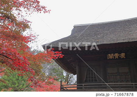 平林寺の紅葉 埼玉県 平林寺の紅葉 埼玉県 71667878