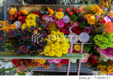 勝林寺・紅葉・花手水 勝林寺・紅葉・花手水 71668537