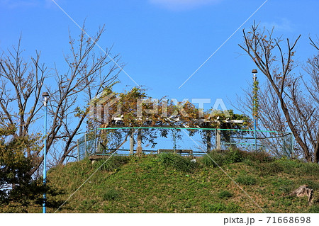 四街道の大土手山（ルボン山） 71668698