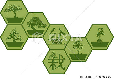 緑色の盆栽のロゴ 71670335