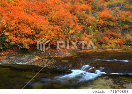 紅葉の桃洞渓谷 71670398