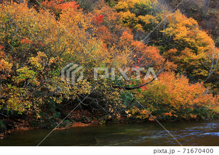 紅葉の桃洞渓谷 紅葉の桃洞渓谷 71670400