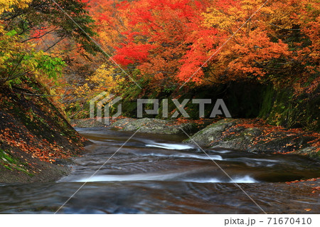 紅葉の桃洞渓谷 71670410