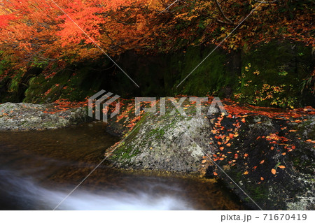 紅葉の桃洞渓谷 71670419