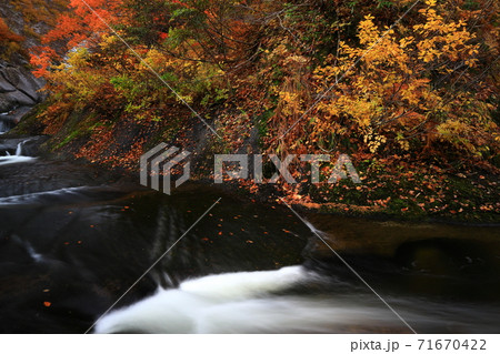 紅葉の桃洞渓谷 紅葉の桃洞渓谷 71670422