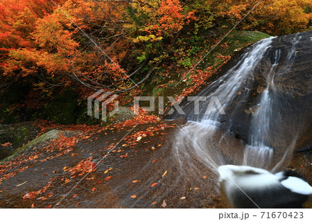 紅葉の桃洞渓谷 紅葉の桃洞渓谷 71670423