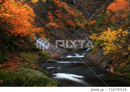 紅葉の桃洞渓谷 71670426