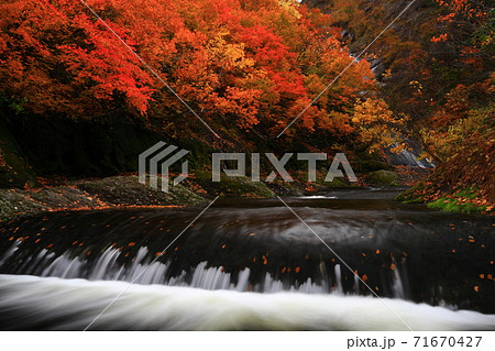 紅葉の桃洞渓谷 紅葉の桃洞渓谷 71670427