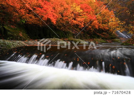 紅葉の桃洞渓谷 紅葉の桃洞渓谷 71670428