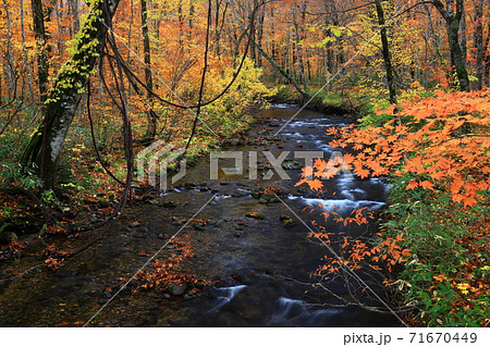 紅葉の桃洞渓谷 紅葉の桃洞渓谷 71670449