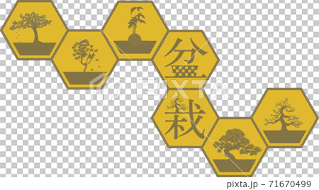 Yellow bonsai logo 71670499