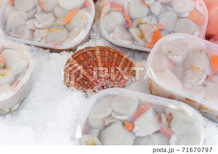 Fresh Scallops on a seafood market at Dieppe France 71670797