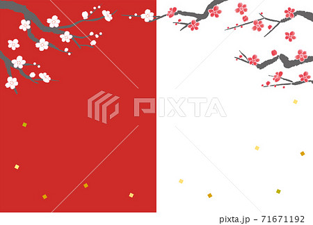 紅白の梅の花の和風背景素材 71671192
