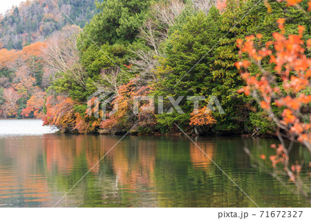 【奥日光、湯ノ湖の紅葉】 71672327