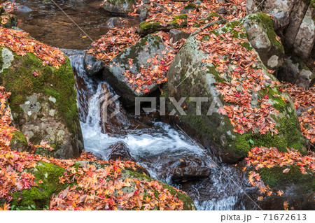 【飛騨高山 紅葉が美しい宇津江四十八滝】 【飛騨高山 紅葉が美しい宇津江四十八滝】 71672613