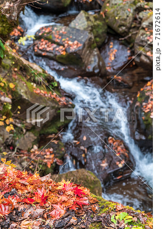 【飛騨高山 紅葉が美しい宇津江四十八滝】 【飛騨高山 紅葉が美しい宇津江四十八滝】 71672614