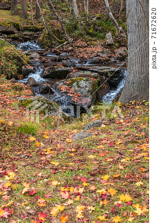 【飛騨高山　紅葉が美しい宇津江四十八滝】 71672620