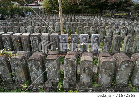 11月 台東163八万四千体地蔵尊・浄名院(上野桜木) 11月 台東163八万四千体地蔵尊・浄名院(上野桜木) 71672868