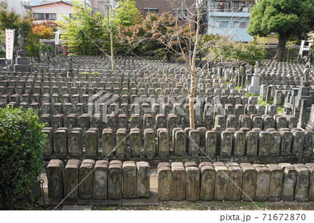 11月 台東161八万四千体地蔵尊・浄名院(上野桜木) 11月 台東161八万四千体地蔵尊・浄名院(上野桜木) 71672870