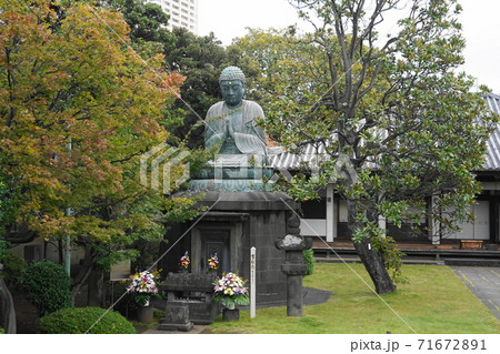 11月　台東142天王寺大仏･銅造釈迦如来座像(谷中) 71672891
