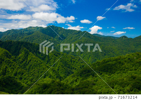 新緑の白神山地 新緑の白神山地 71673214