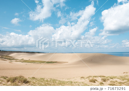 鳥取砂丘 鳥取砂丘 71673291