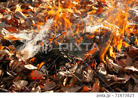 落ち葉焚き 71673625