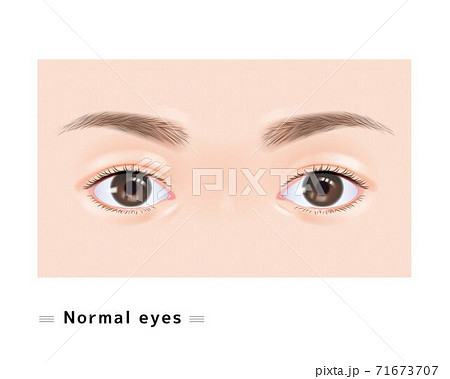 目 女性 顔 まつげ 二重 まぶた 眉毛 瞳孔 虹彩 白目 瞳 イラスト リアル のイラスト素材