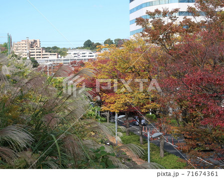 新百合ヶ丘駅前風景 71674361