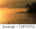 夜明けの猪苗代湖のケアラシと白鳥 71674751